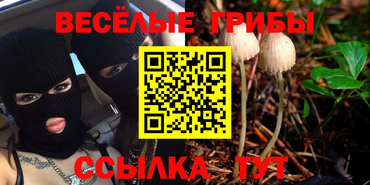 Псилоцибиновые грибы Psilocybine cubensis Орехово-Зуево